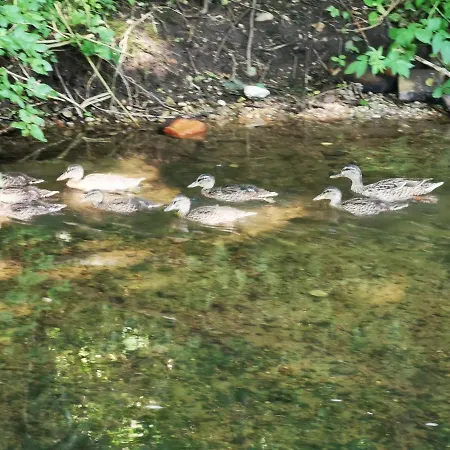 Mazurskiewczasy بيت للعطل كرولانكي