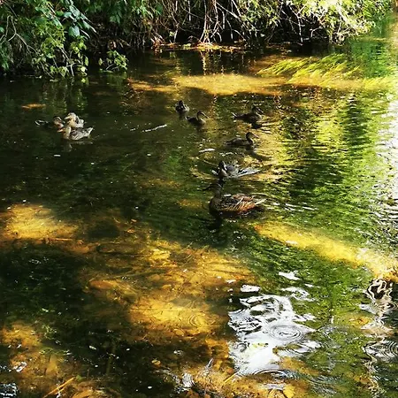 بيت للعطل Mazurskiewczasy